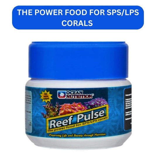 ON+ Reef Pulse Power Food for SPS/LPS Corals (Original from Tunai Store) | Food for Coral Species Such as Euphyllia, Acropora, Montipora, Zoanthids, Scolymia, and Others. (60gms, Reef Pulse)