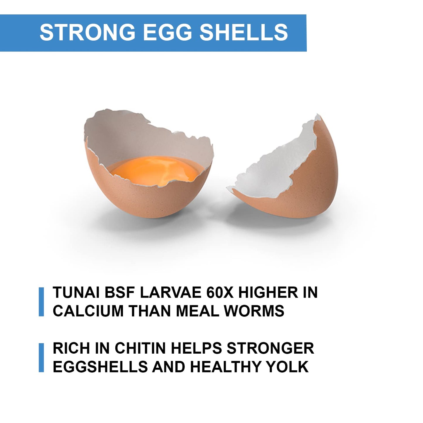 Tunai Black Soldier Fly Larvae Poultry Food | 500g | 60X Calcium, 40% Protein, Natural Supplement Treat for Poultry Feed, Hen, Duck, Turkey, Goose, Chicken, Cock