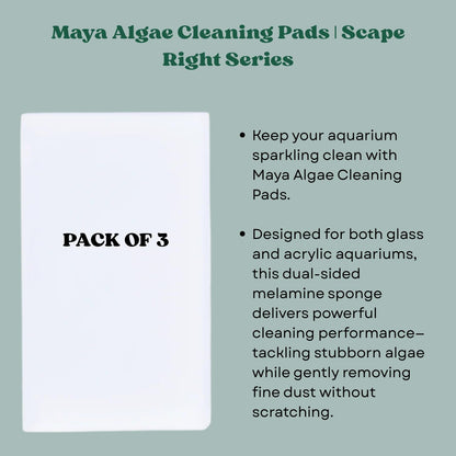The Scape Right Series MAYA Algae Cleaning Pads for Aquarium | Safe for Acrylic & Glass Aquariums (3 Pads)