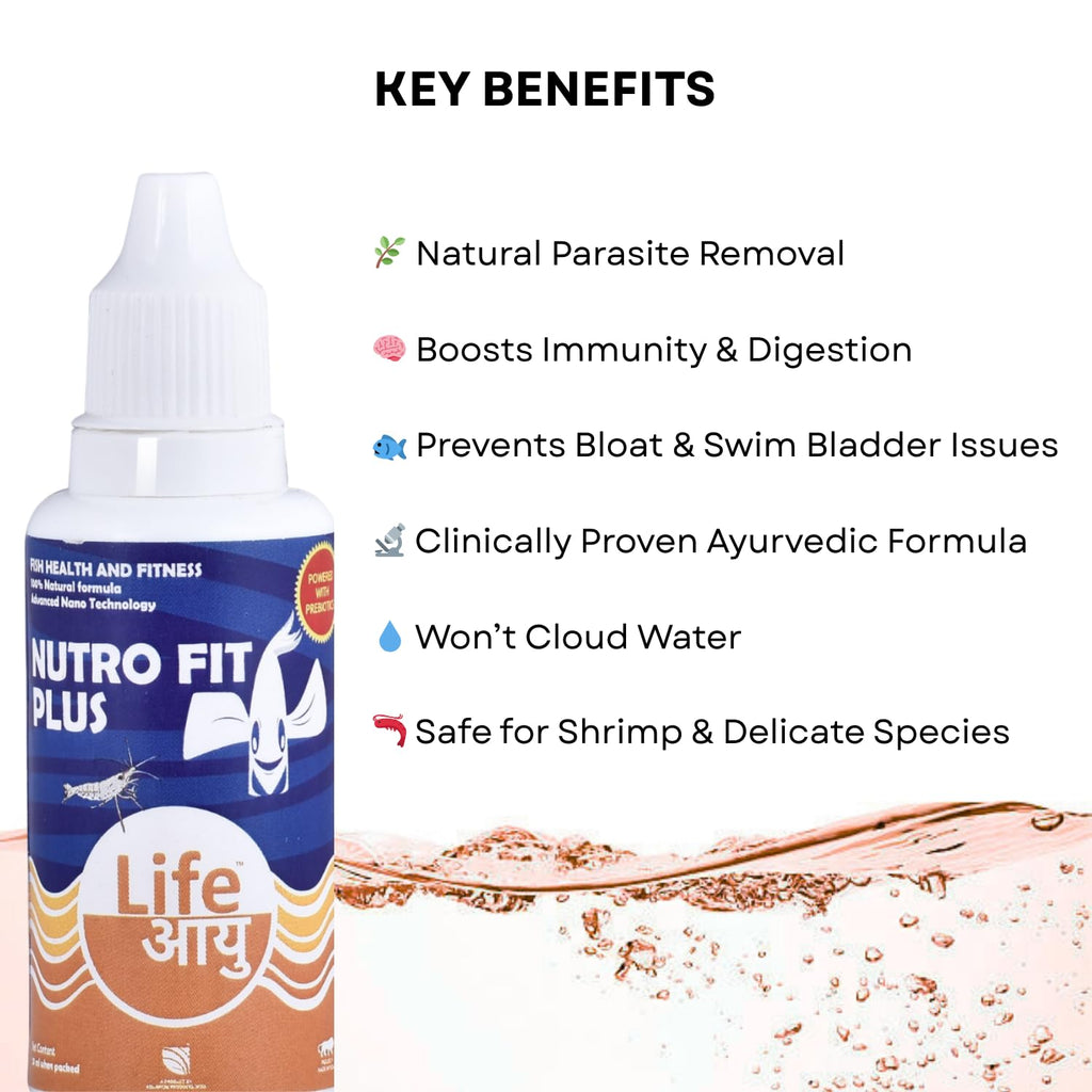 Life AAYU NUTR0 Fit Plus Fish Food Supplement | Suitable for Young, Adult and Senior Fishes | Eliminates Internal Parasites (20 ml)