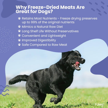 Tunai Premium Freeze Dried Treats for Adult Dogs & Weaning Puppies, 20g (Mini, Cod Nibs)