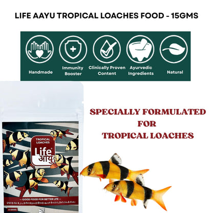 Life Aayu Tropical Loaches Aquarium Fish Food | Immunity Boost, High Protein, Humic-Enriched Diet (15 GMS)
