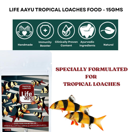 Life Aayu Tropical Loaches Aquarium Fish Food | Immunity Boost, High Protein, Humic-Enriched Diet (15 GMS)