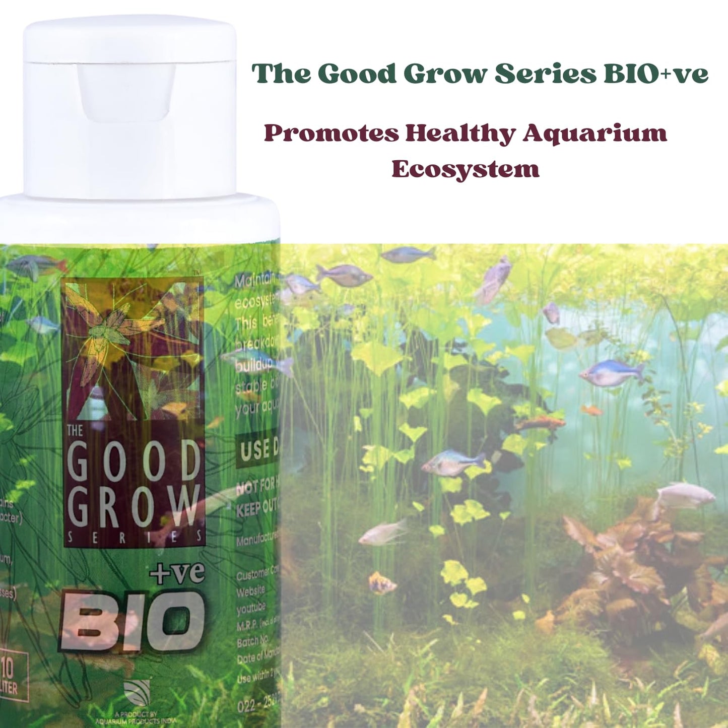 The Good Grow Series BIO +ve | Promotes Healthy Aquarium Ecosystem | Beneficial Bacteria Supplement | Maintain A Balanced and Healthy Aquarium Ecosystem (50 ml)