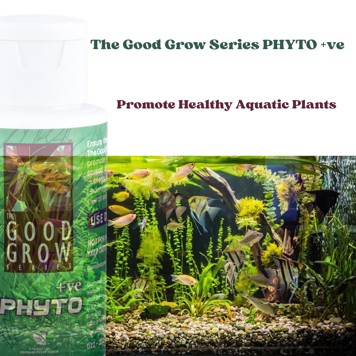 The Good Grow Series PHYTO +ve | Promote Healthy Aquatic Plants | Support the Health and Vitality of your Aquatic Plants (50 ml)