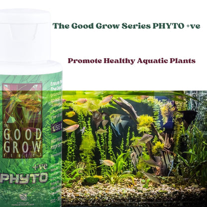 The Good Grow Series PHYTO +ve | Promote Healthy Aquatic Plants | Support the Health and Vitality of your Aquatic Plants (50 ml)