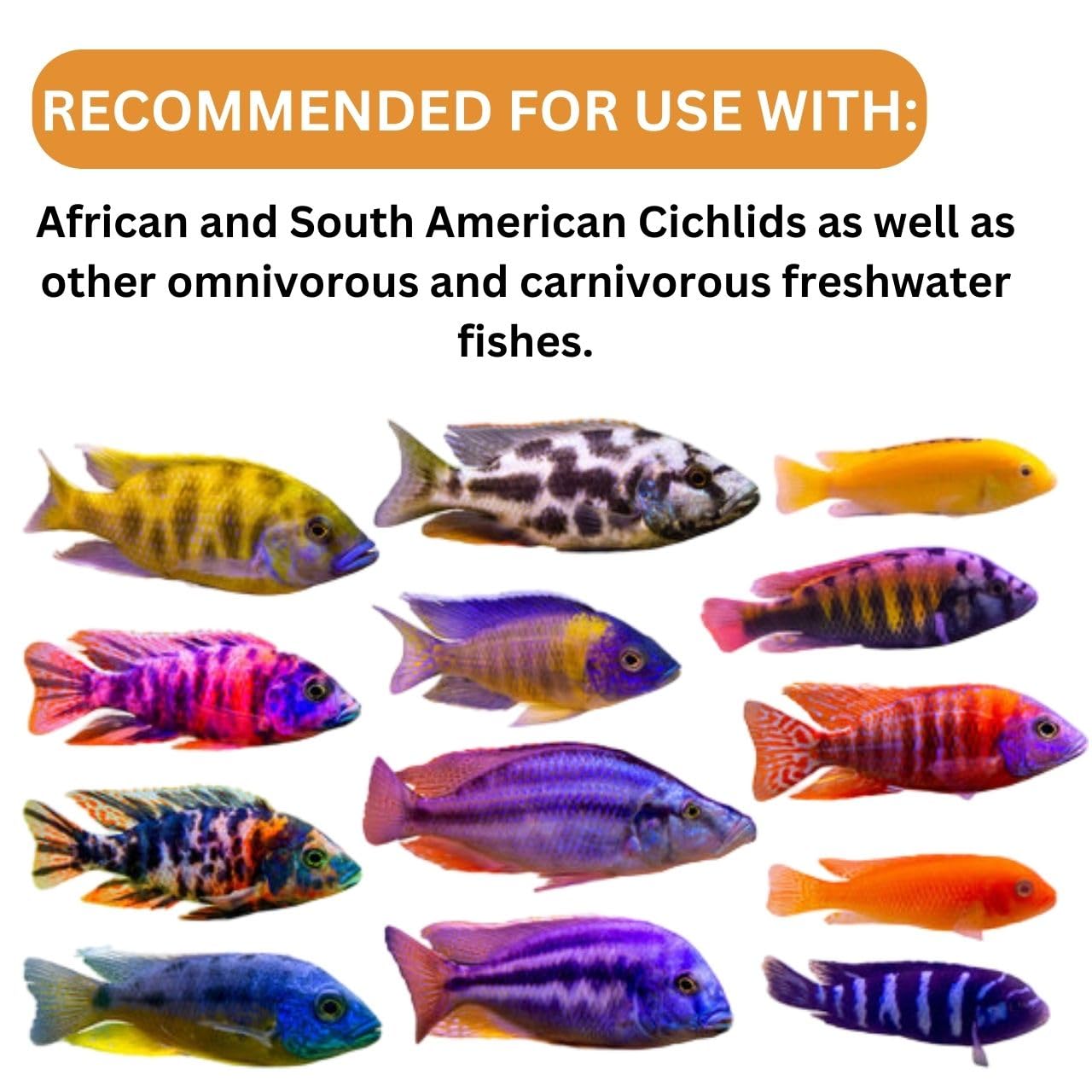 ON+ Cichlid Omni Flakes Fish Food (Original from Tunai Store) | Formulated for Omnivorous and Predatory Cichlids (34gms, Flakes)