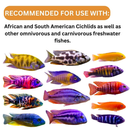 ON+ Cichlid Omni Flakes Fish Food (Original from Tunai Store) | Formulated for Omnivorous and Predatory Cichlids (34gms, Flakes)