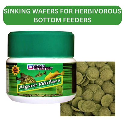 ON+ Algae Wafers Fish Food (Original from Tunai Store) | Sinking Wafers for Herbivorous Bottom Feeders (75gms, Sinking Pellets)
