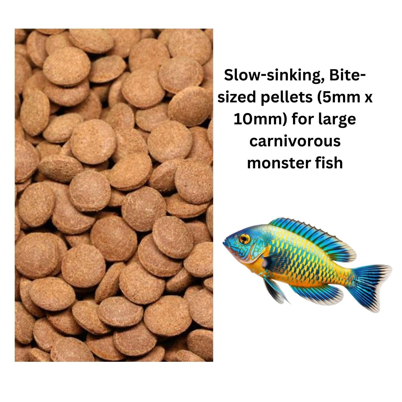 ON+ Colossus Q2 Sinking Protein Sticks Fish Food (Original from Tunai Store) | A Monster Fish Feast for Plecotomus, Cory Cat Fish, Loaches, Freshwater Stingrays (200gms, Sinking Pellets)