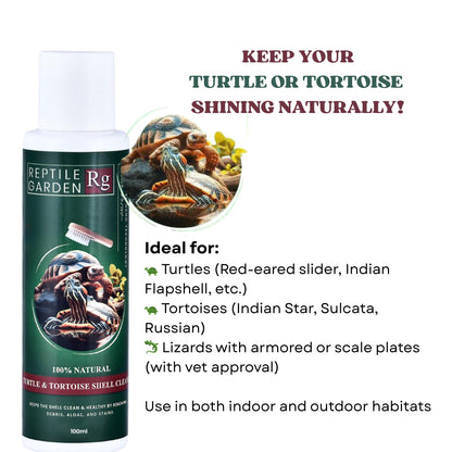 Reptile Garden Turtle & Tortoise Shell Cleaner | Aloe Vera Infused Reptile Shell Care Spray (100 ml)