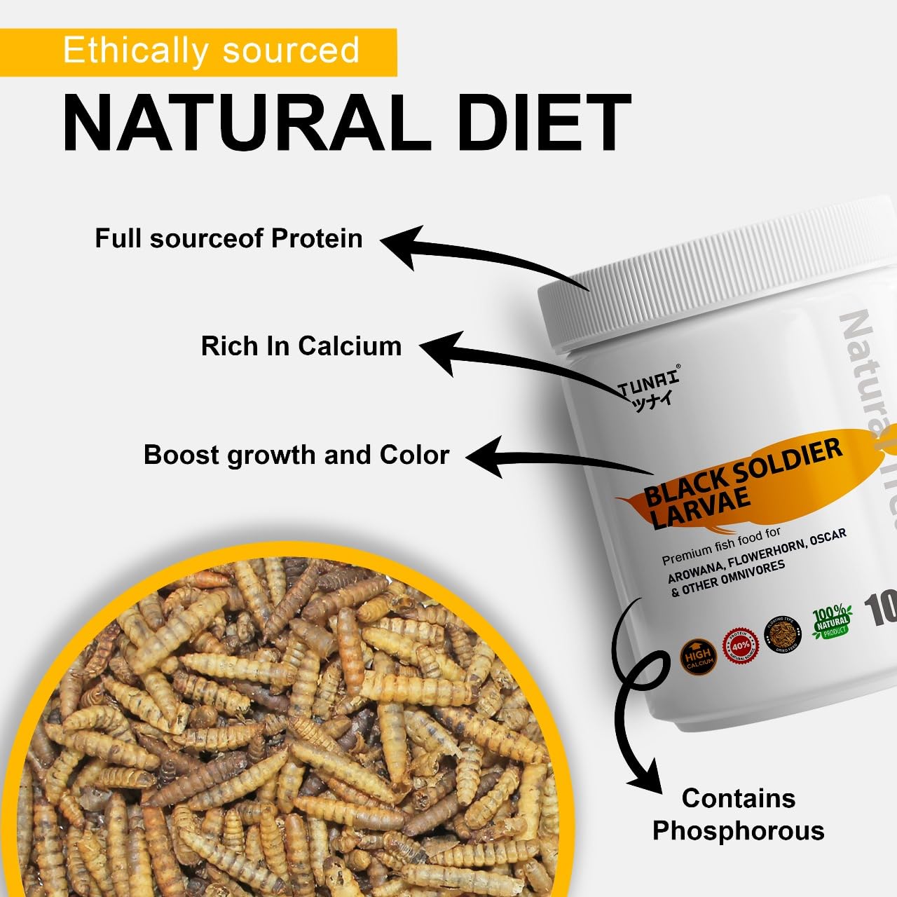 TUNAI Black Soldier Fly Larvae BSFL Larvae |100G| 60X More Calcium Than Meal Worms, Fish Food for Oscar, Arowana, Flowerhorn, Adult Turtle, Tortoise and Other Reptiles