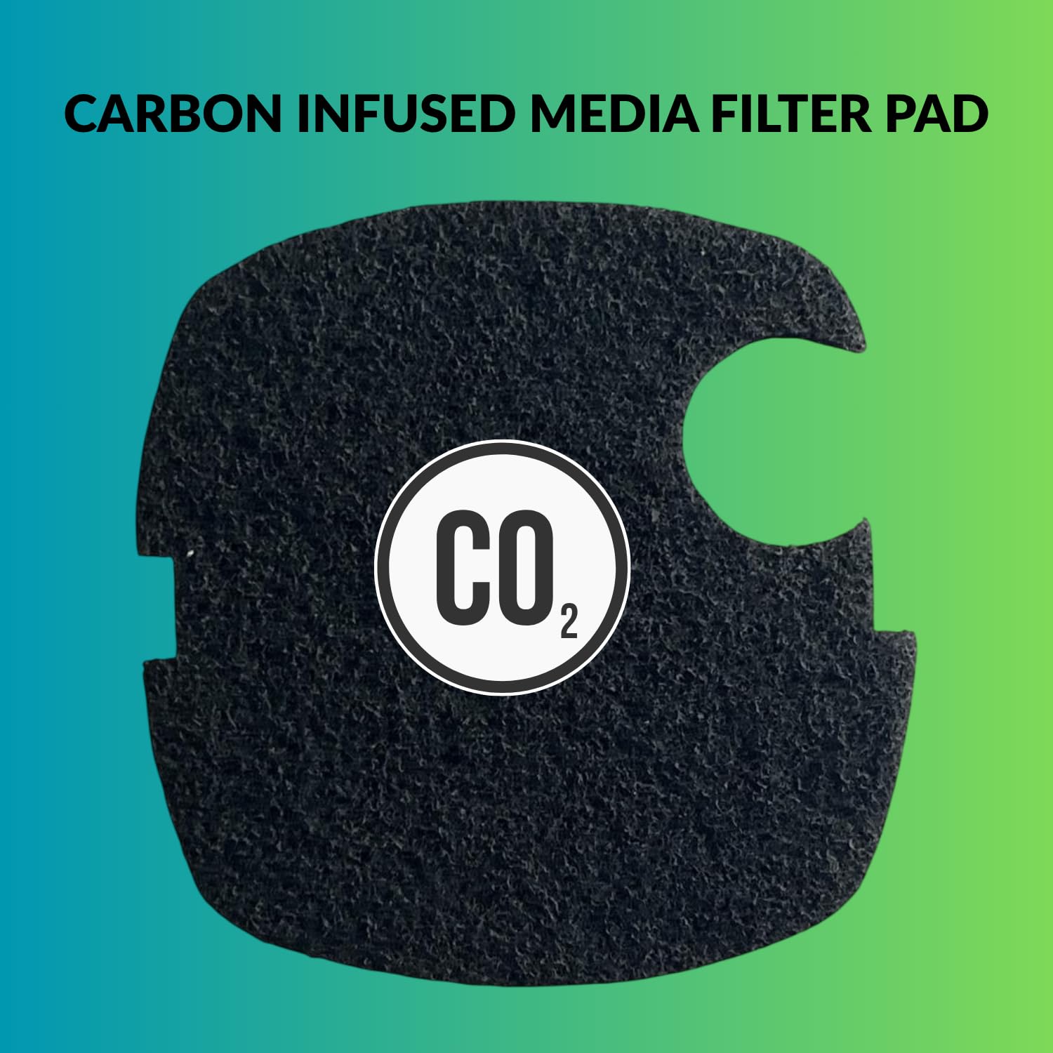 SUNSUN Carbon Infused Media Filter Pad (Pack of 2) | Suitable for HW-304A and HW-304B | Improves Aquarium Water Clarity and Quality | Original from Tunai Store (Black, HW-304A and HW-304B)