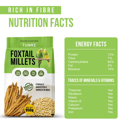 Tunai Foxtail Kangini Millets|950g|Superior Bird Feed For High Protein, Regulating Digestion, Absorption Of Minerals, High Fiber Millets Perfect Bird Food For lovebirds, canaries, cockatiels and Finches