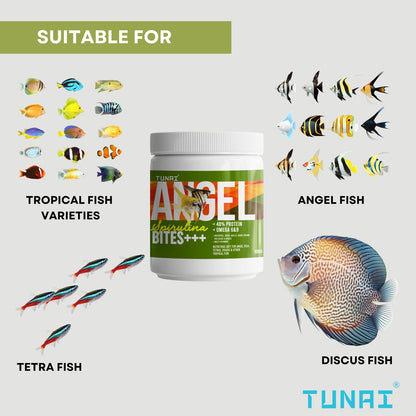 TUNAI Angel Spirulina Bites Fish Food |100g| Spirulina Granules | 100g | 48% Protein | Suitable to Fed for Angel, Gold Fish, Tetras, Discus, Red Parrot, Arowana, Red Parrot, Cichlids & Oscars