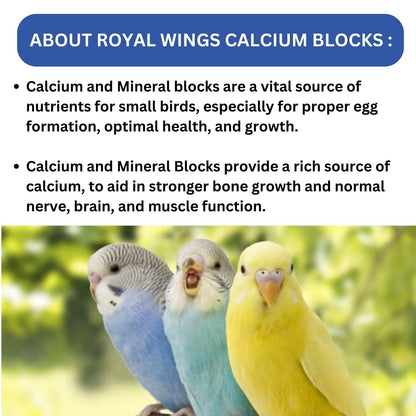 SF+ Royal Wings Calcium Mineral Blocks | Bird Food for Parrots, Love Birds, Finch, Cockatiel, Small Birds | Original Imported from Tunai Store (Pack of 2, Assorted Flavours)