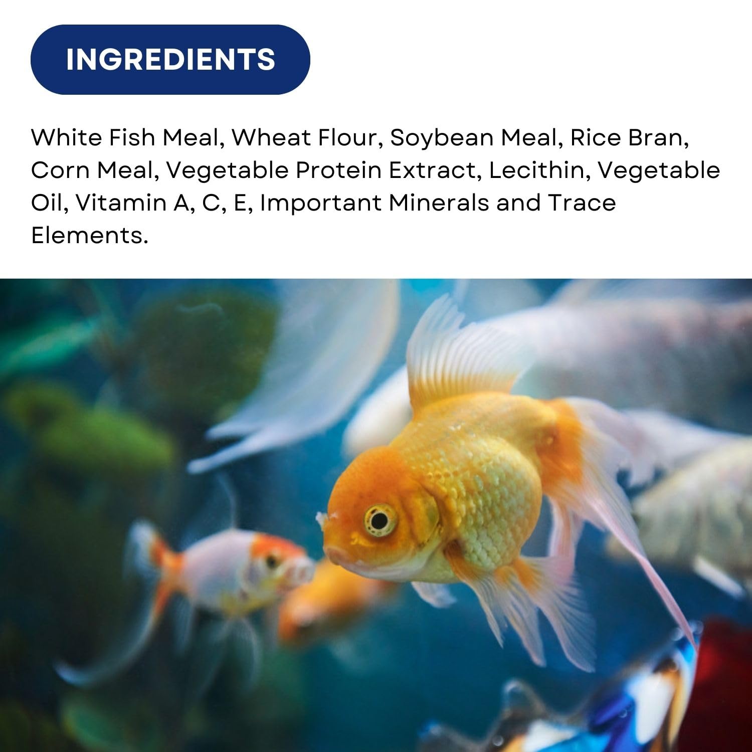 SF+ Star Bite Gold Fish Food | Daily Feeding for All Gold Fish (400gms, Pellets)