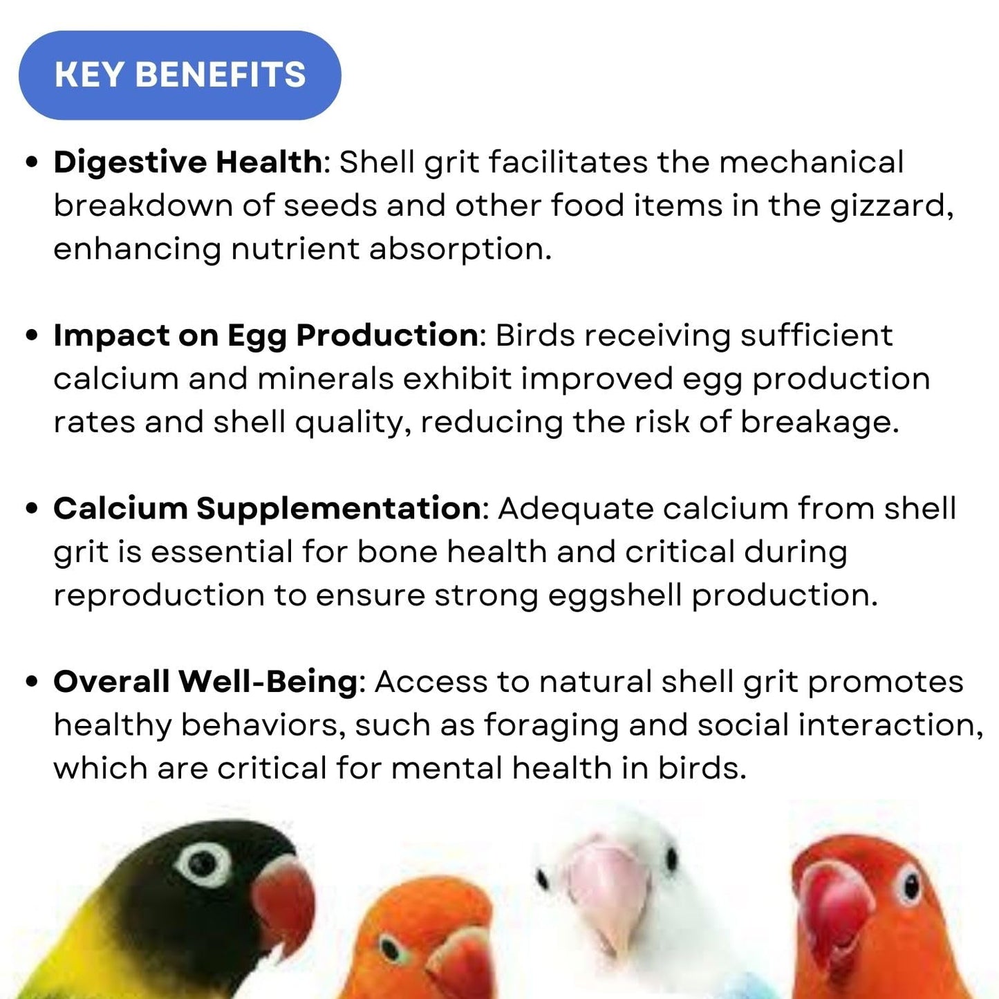 SF+ Calci-min Natural Shell Grit Bird Supplement | Rich Calcium Source for Birds' (1 Kg)