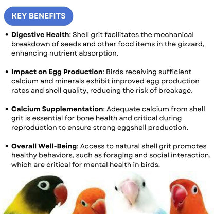 SF+ Calci-min Natural Shell Grit Bird Supplement | Rich Calcium Source for Birds' (1 Kg)