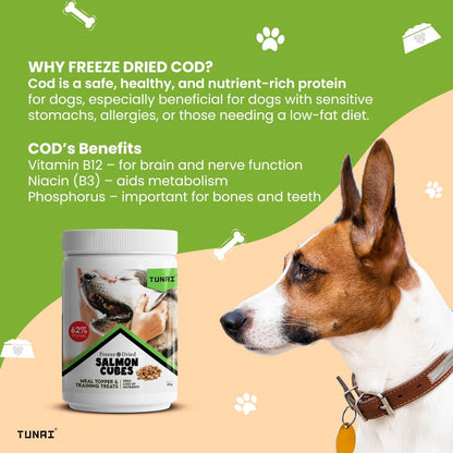 Tunai Premium Freeze Dried Treats for Adult Dogs & Weaning Puppies, 30g (Mini, Salmon Cubes)