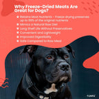 Tunai Premium Freeze Dried Treats for Adult Dogs & Weaning Puppies, 30g (Mini, Duck Bites)