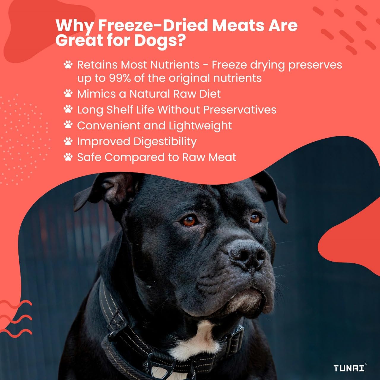 Tunai Premium Freeze Dried Treats for Adult Dogs & Weaning Puppies, 30g (Mini, Duck Bites)