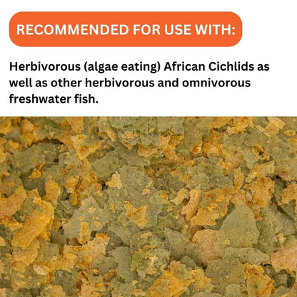 ON+ Cichlid Vegi Formula Flakes Fish Food (Original from Tunai Store) | Extremely Attractive Flavor for All Fishes (34gms, Flakes)