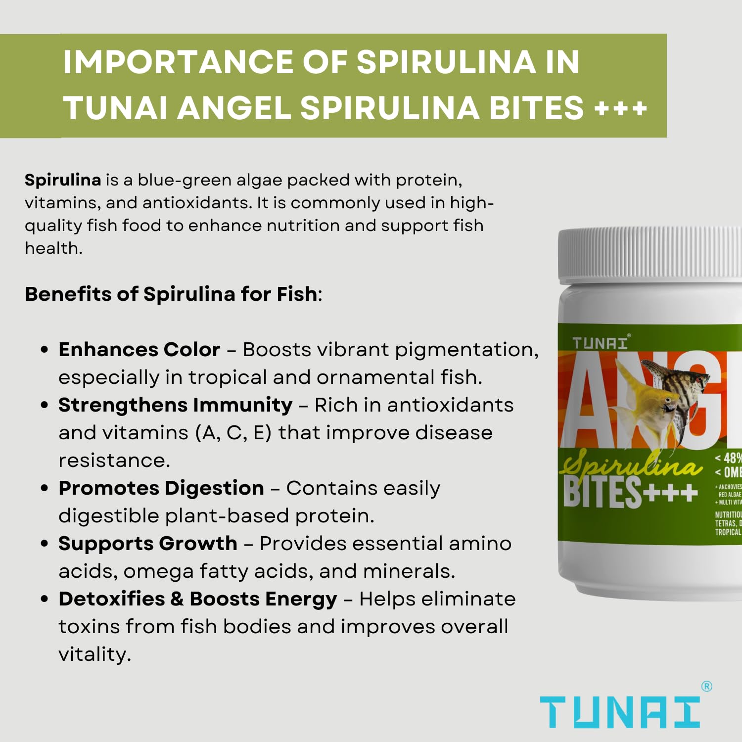 TUNAI Angel Spirulina Bites Fish Food |100g| Spirulina Granules | 100g | 48% Protein | Suitable to Fed for Angel, Gold Fish, Tetras, Discus, Red Parrot, Arowana, Red Parrot, Cichlids & Oscars