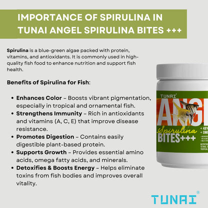 TUNAI Angel Spirulina Bites Fish Food |100g| Spirulina Granules | 100g | 48% Protein | Suitable to Fed for Angel, Gold Fish, Tetras, Discus, Red Parrot, Arowana, Red Parrot, Cichlids & Oscars