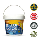 Tunai Black Soldier Fly Larvae Poultry Food | 500g | 60X Calcium, 40% Protein, Natural Supplement Treat for Poultry Feed, Hen, Duck, Turkey, Goose, Chicken, Cock