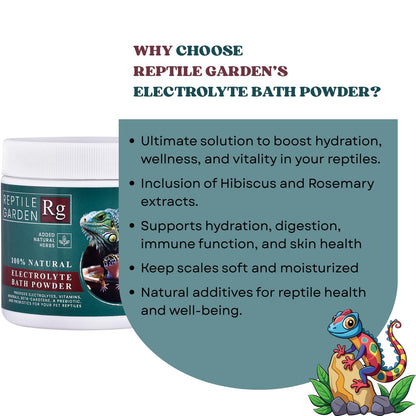 Reptile Garden Lizard and Dragon Electrolyte Bath Powder | Boosts Hydration, Wellness, and Vitality | Added Natural Herbs (100 GMS)