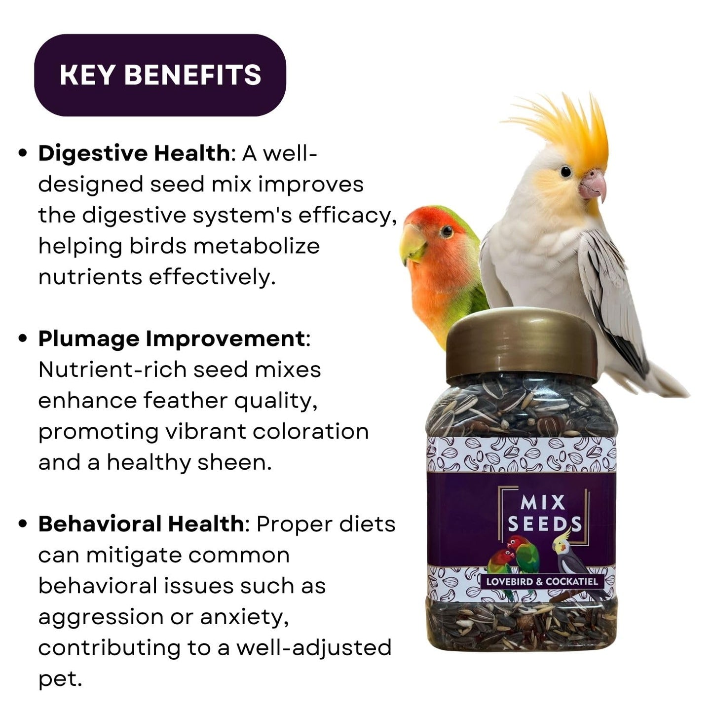 SF+ Mix Seeds for Birds | Natural, Hand-Picked and Protein Packed Seeds (500gms, Lovebird & Cockatiel)