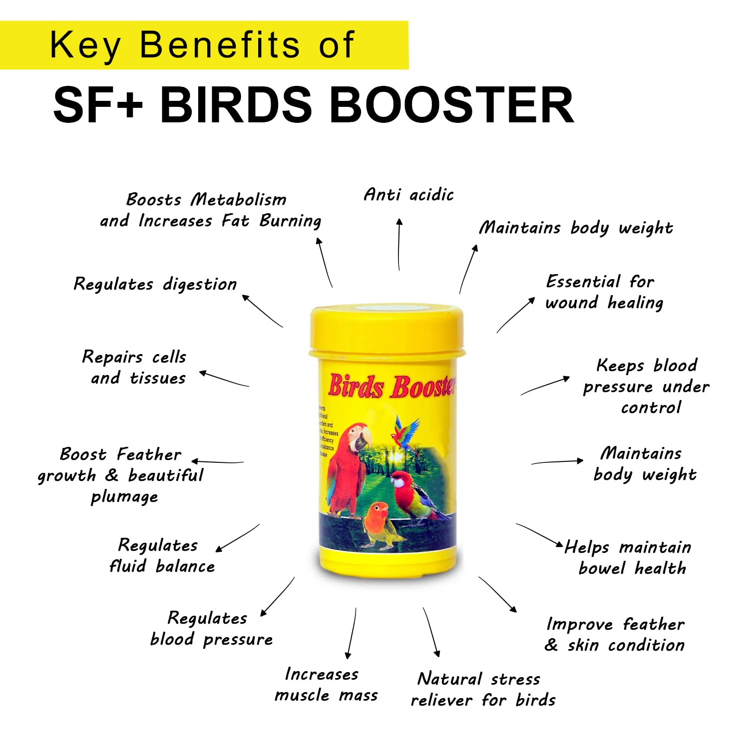 SF+ Bird Health Supplements Combo Packs (Pack of 5, Mini) Healthy Supplement Fortified with Vitamins for Love Birds, Cockteils, Finches, Conures, Parrots, Macaws, Senegals, Parrots