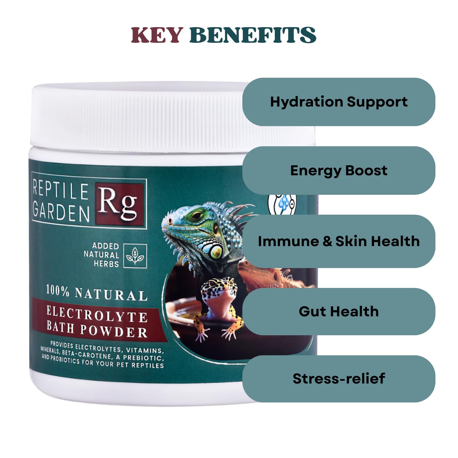 Reptile Garden Lizard and Dragon Electrolyte Bath Powder | Boosts Hydration, Wellness, and Vitality | Added Natural Herbs (200 GMS)