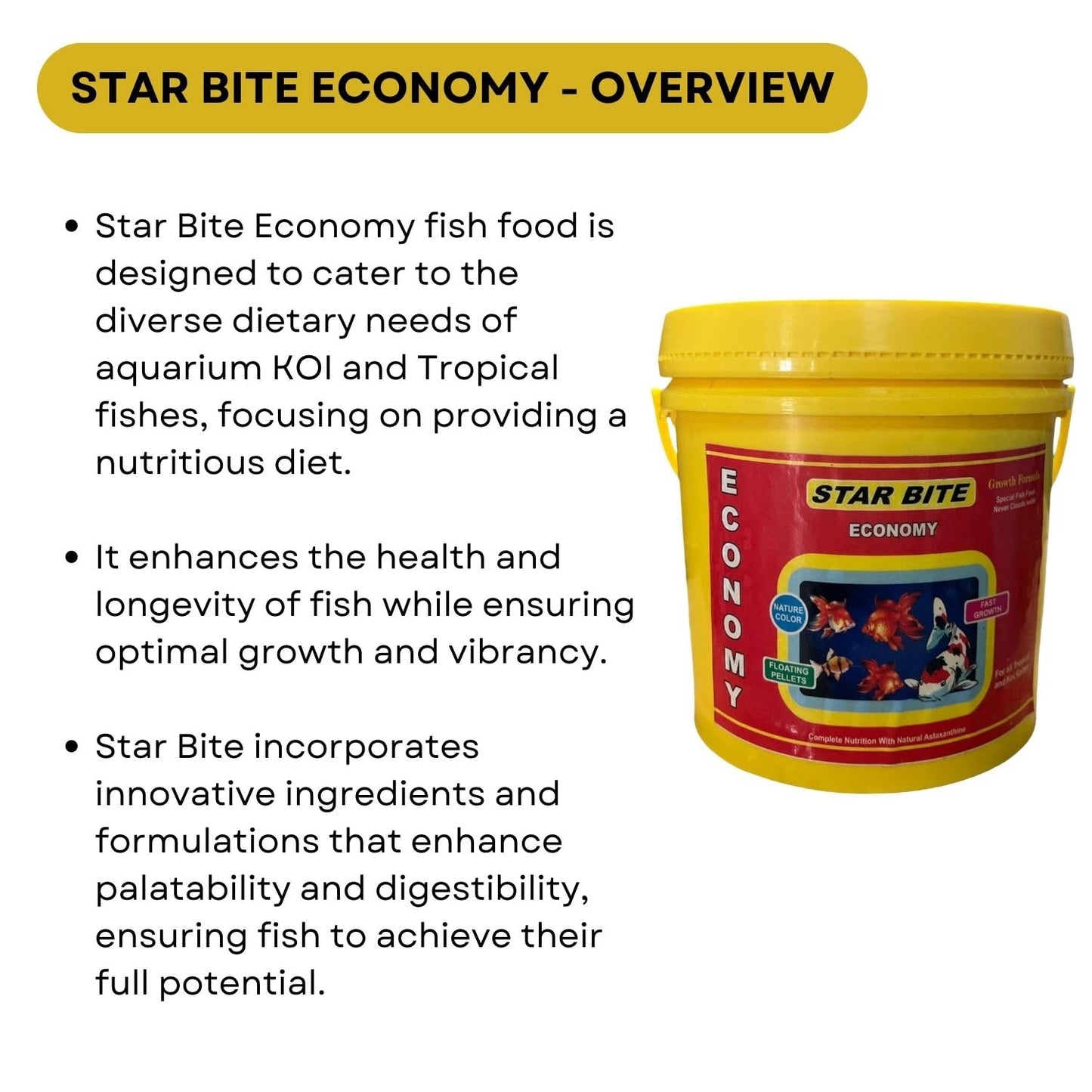 SF+ Star Bite Economy Fish Food | for All Tropical and KOI Fishes | Enhances Color Growth in Fish | Floating Pellets (500gms, Floating Pellets)
