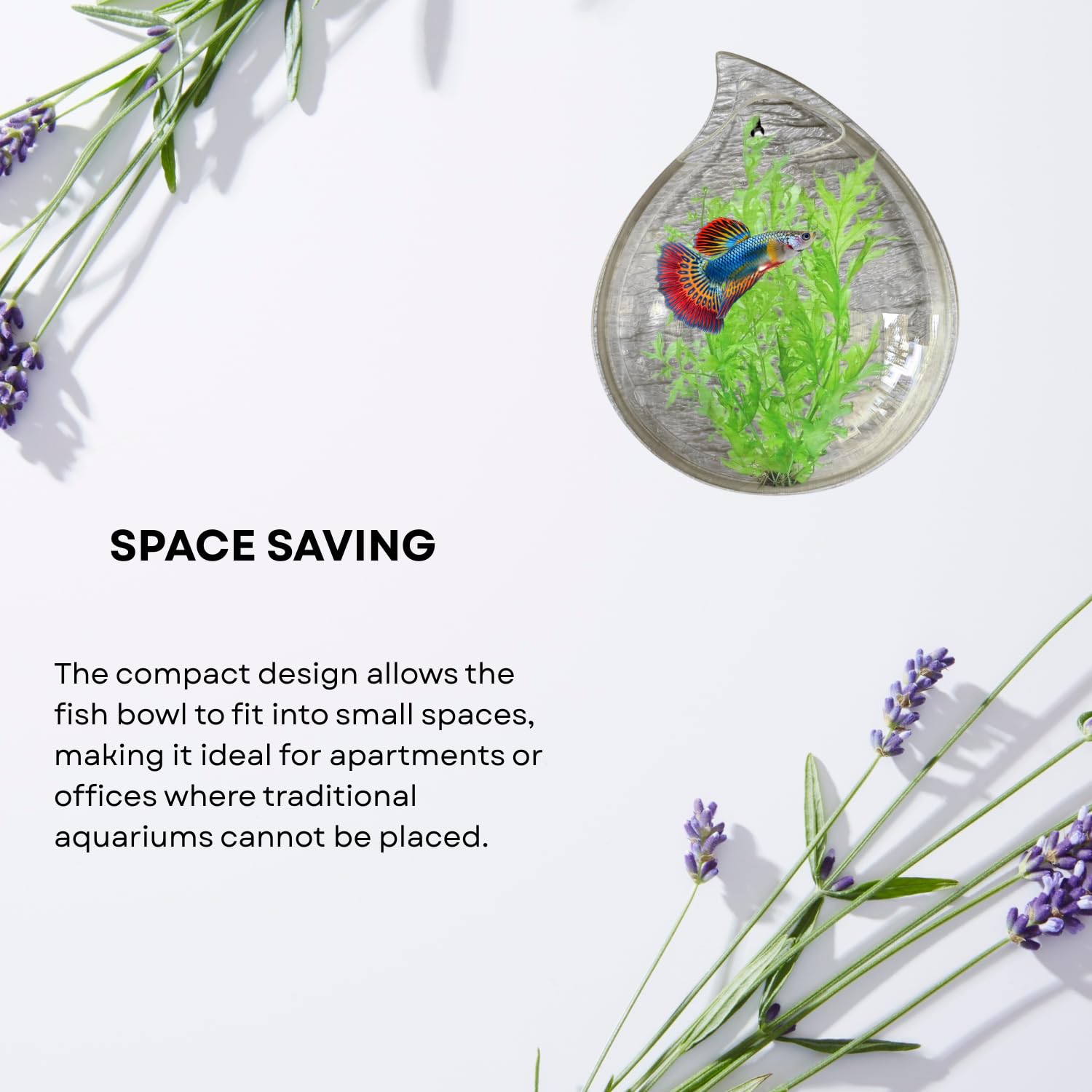 Wall Mount 12-inch White Drop Shape Fish Bowl – Decorative Hanging Aquarium (Without Stand) | Space Saving Design | Compact Aquarium for Betta, Guppies & Plants