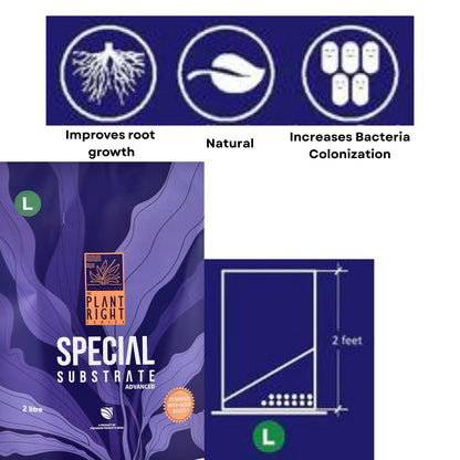 The Plant Right Series Special Substrate | Vibrant Aquatic Plants | The Ultimate Solution for Aquascaping Enthusiasts (2 L - Large)