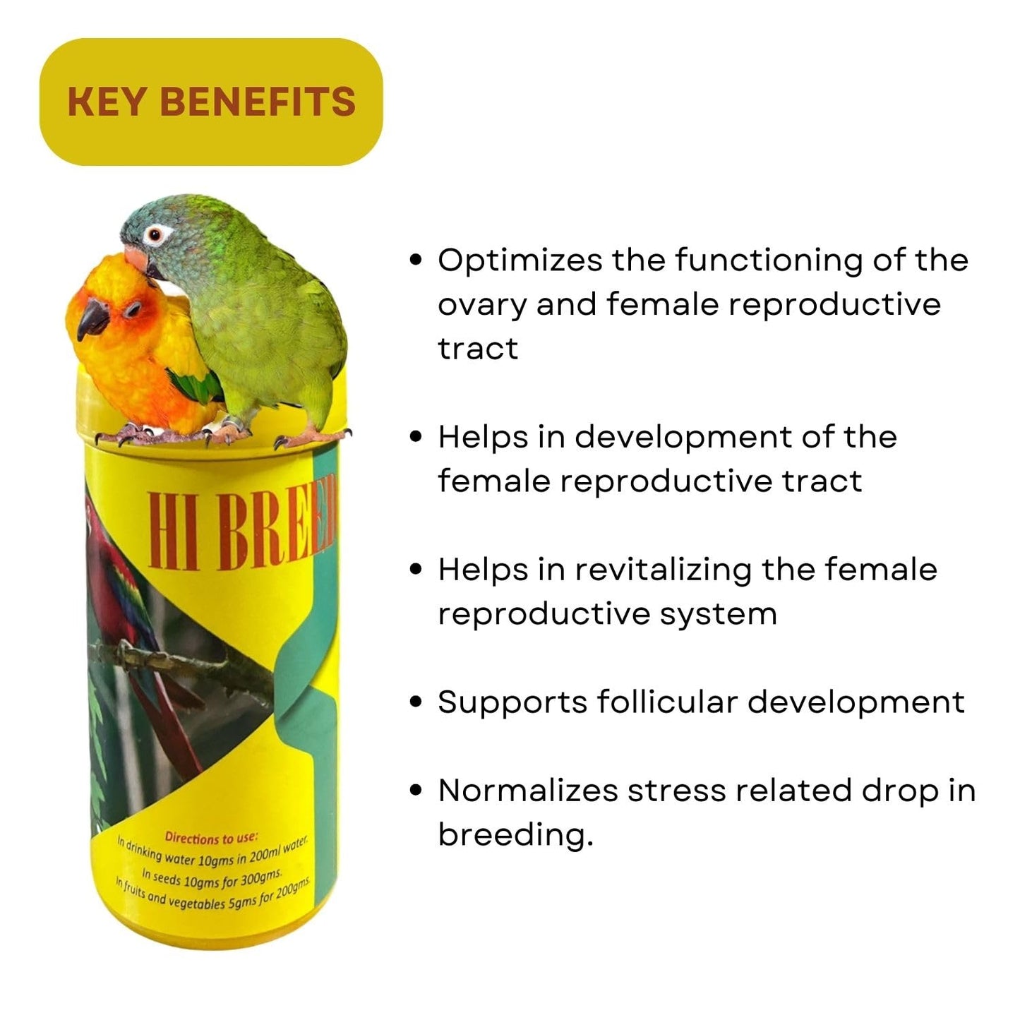 SF+ Hi-Breed Bird Health Supplement | Rich Supplement for Breeding Birds