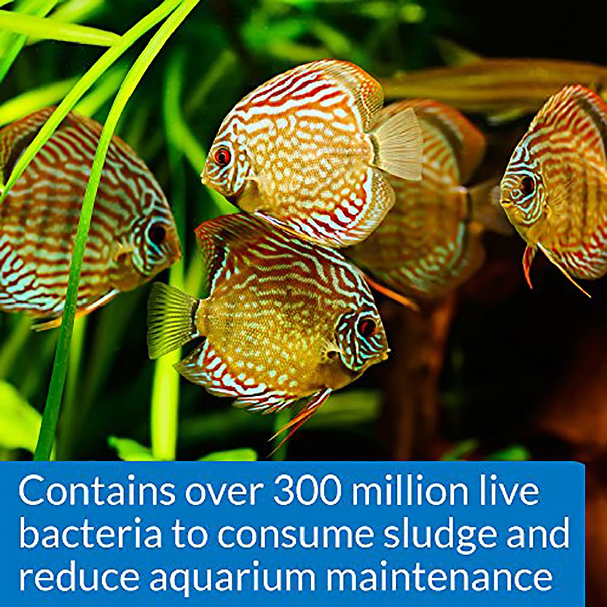 API Stress Zyme, 237 ML