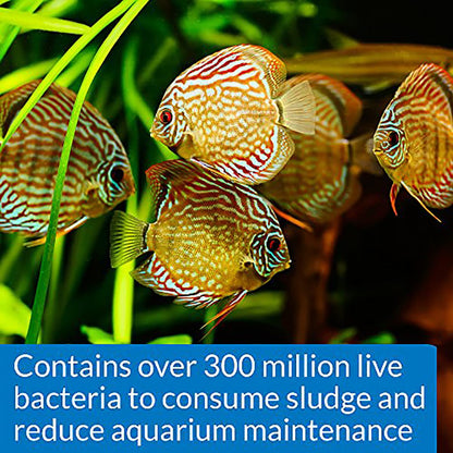 API Stress Zyme, 237 ML