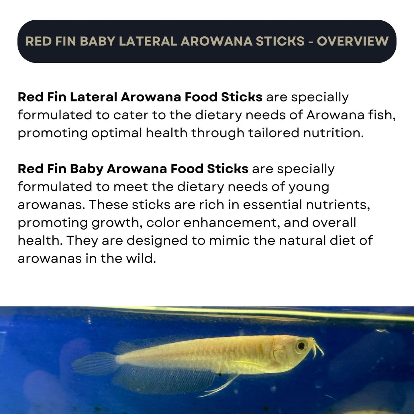 TUNAI SF+ Red Fin Baby Fish Arowana Food Sticks | Supports Muscle Growth, Immune Function, and Vitality (380 Gms, Small Pellets)