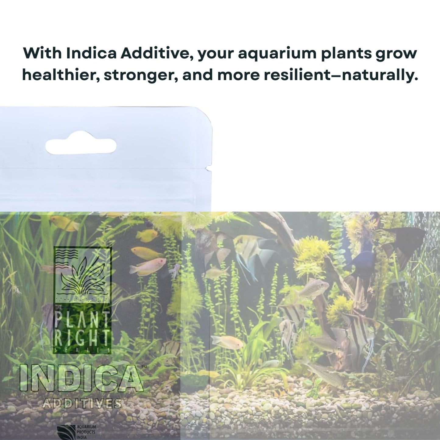 The Plant Right Series Indica Additives For Aquarium Plants | Oragnic Mycorrhiza Root Booster | Promotes Stronger Root Systems and Vibrant Growth (15 gms)