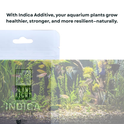 The Plant Right Series Indica Additives For Aquarium Plants | Oragnic Mycorrhiza Root Booster | Promotes Stronger Root Systems and Vibrant Growth (15 gms)