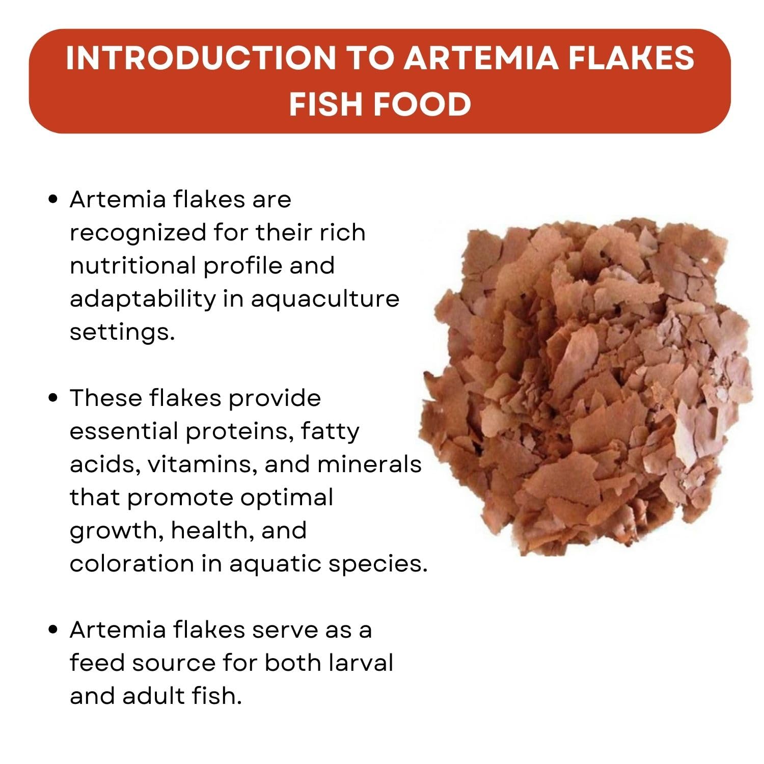 SF+ Artemia Flakes Fish Food | Nutritional Flake Food for Tetras, Guppies and Shrimps | Originally from TUNAI Store (25gms, Flakes)