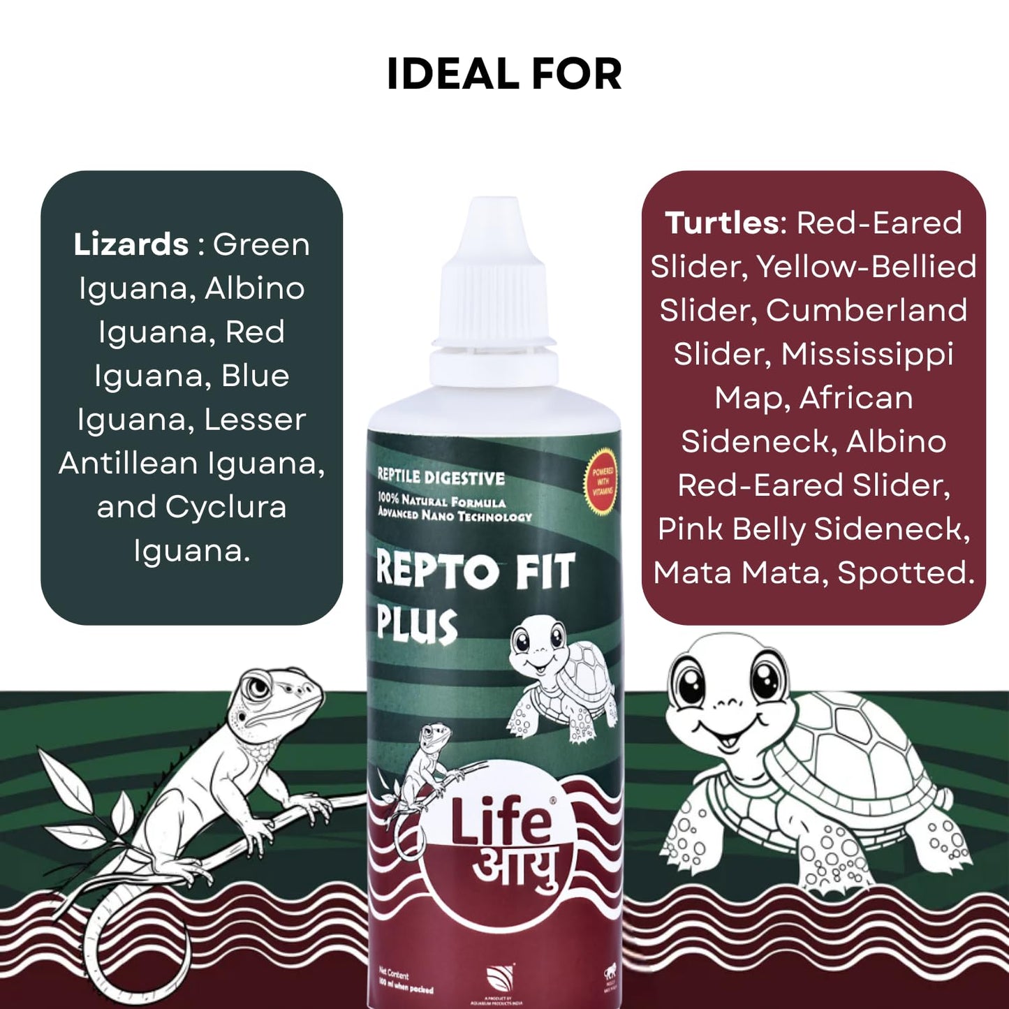 Life AAYU REPT0-Fit Plus Supplement | 100% Natural Digestive & Immunity Booster Supplement for Turtles and Lizards (100 ml)
