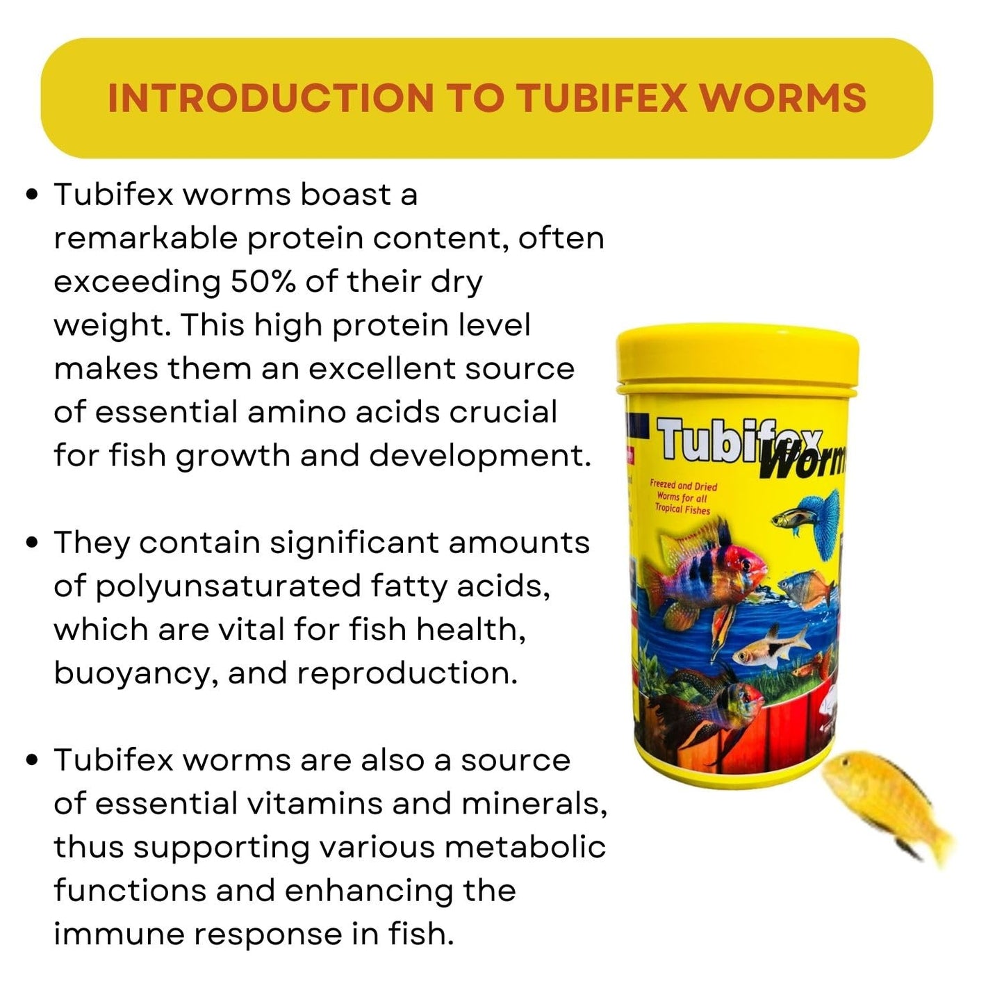 SF+ Tubifex Worms Fish Food | Freezed and Dried Worms for All Tropical Fishes | Originally from TUNAI Store (12gms, Dried Worms)