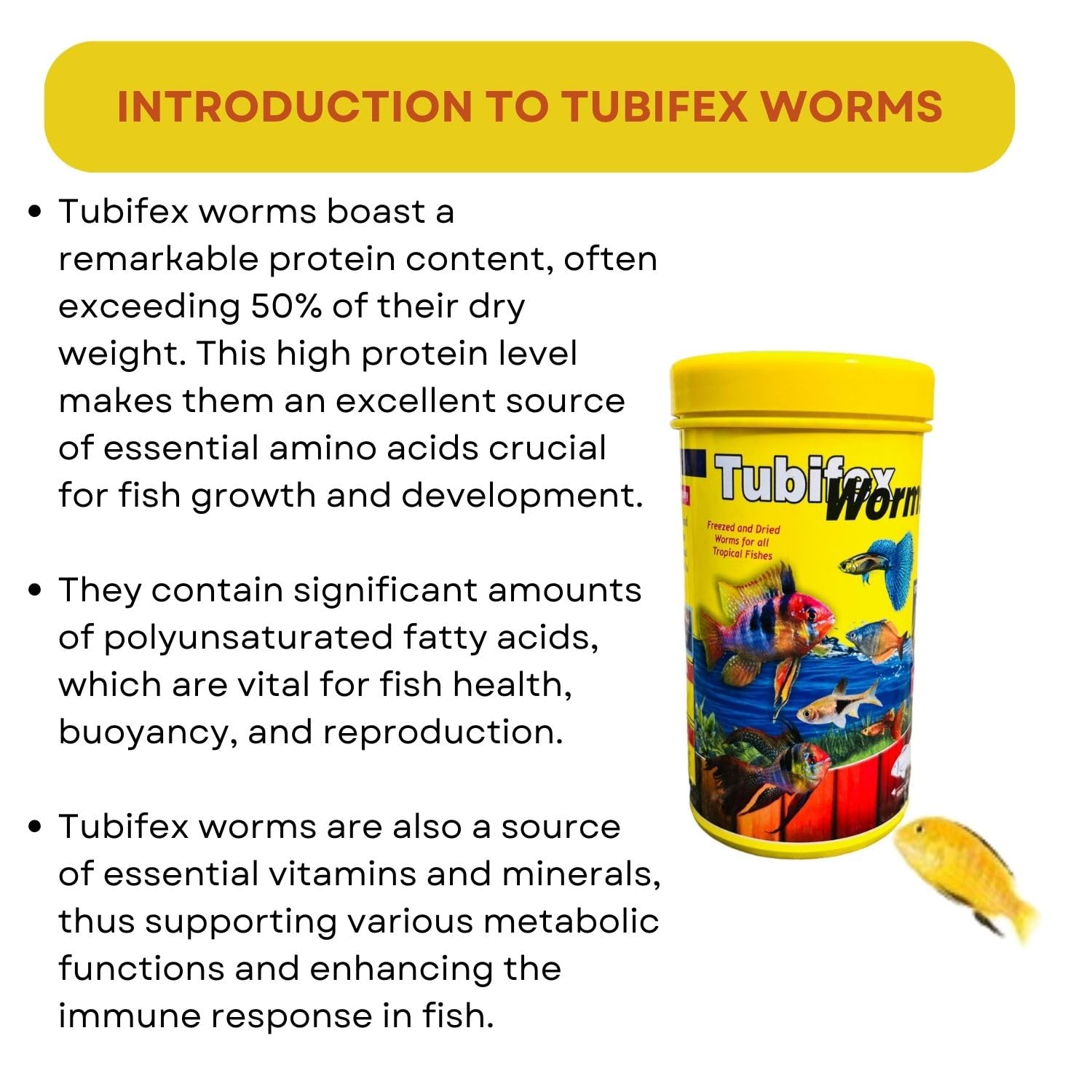 SF+ Tubifex Worms Fish Food | Freezed and Dried Worms for All Tropical Fishes | Originally from TUNAI Store (12gms, Dried Worms)