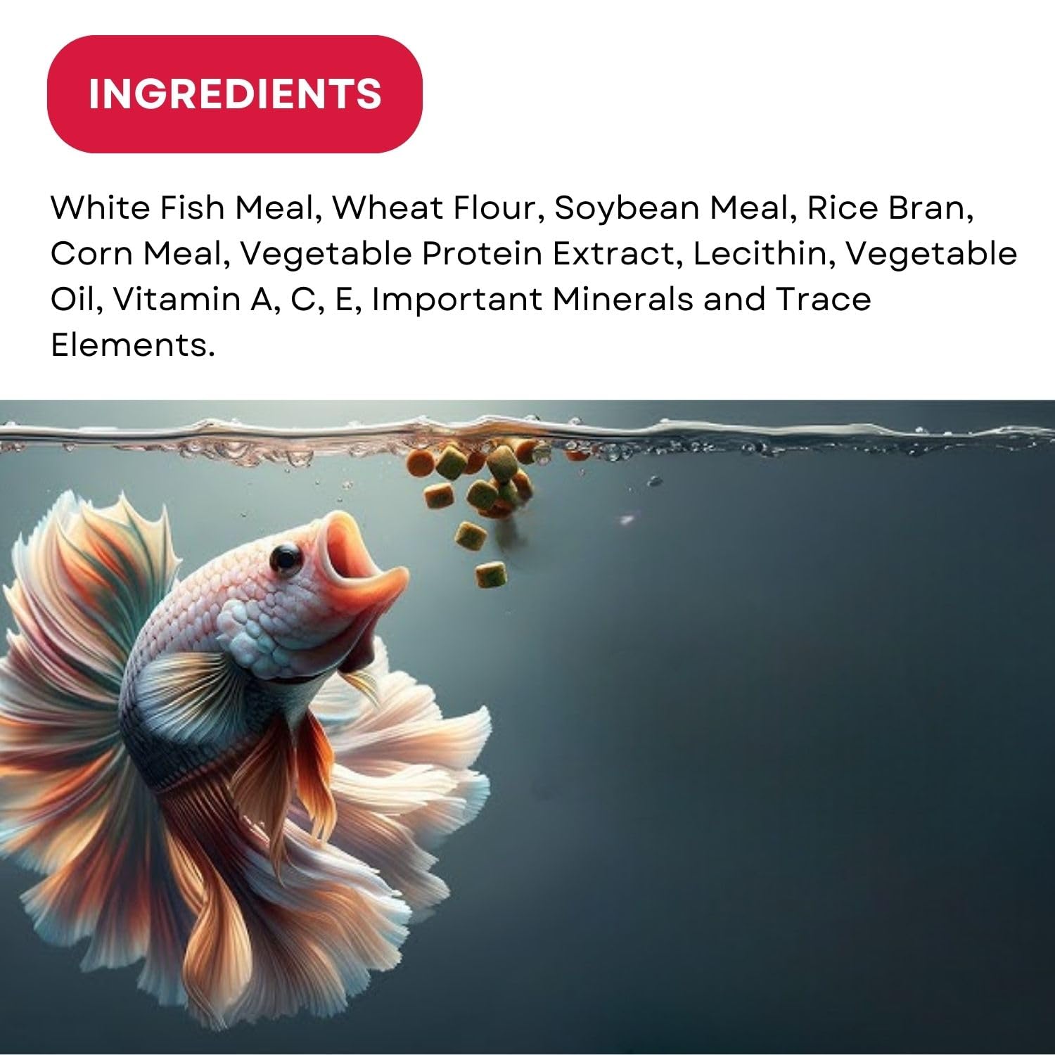 SF+ Star Bite Fish Food | Super Saver Pack (400g, Fast Growth)