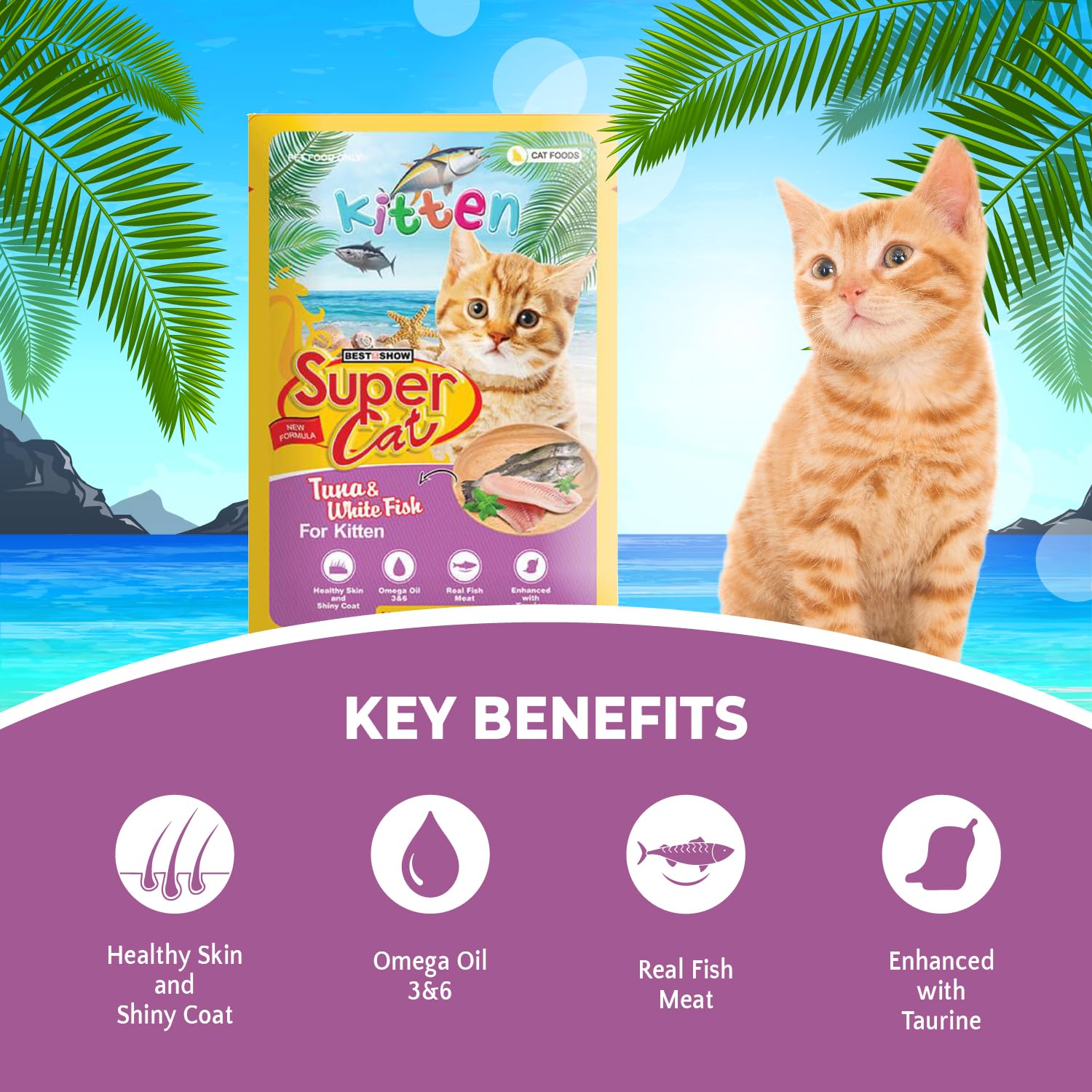 TUNAI SUPERCAT White Fish & Tuna Special Wet Gravy Daily Diet Food For Kittens (PACK OF 12X80g) With the goodness of Protein Fat Rich Sardines, White Fish, Tuna And Taurine, Supports Healthy Skin Coat