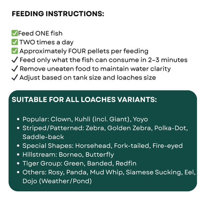 Life Aayu Tropical Loaches Aquarium Fish Food | Immunity Boost, High Protein, Humic-Enriched Diet (15 GMS)